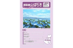広報看護連盟いばらき60号アイキャッチ